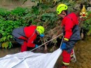 FOTO. Ungulato annegato nel fiume Olona: la carcassa recuperata dai vigili del fuoco