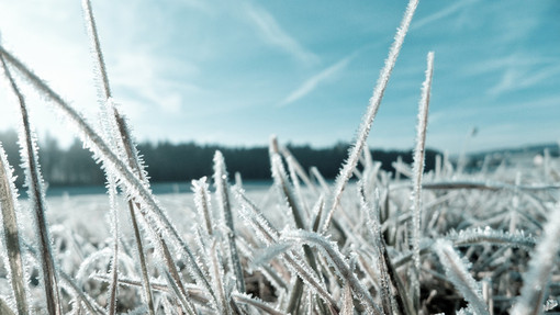 Nuovo risveglio sotto zero in tutta la provincia: finalmente un po' di inverno