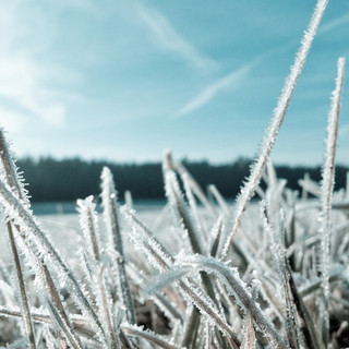 Domani calo delle temperature con massime attorno a 5 gradi. Venerdì nevischio a 600 metri