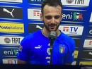 foto di archivio - Gatti con la maglia nazionale