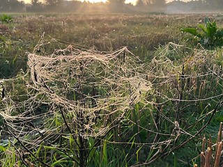 In campagna a Sacconago, foto di Silvana Grillo