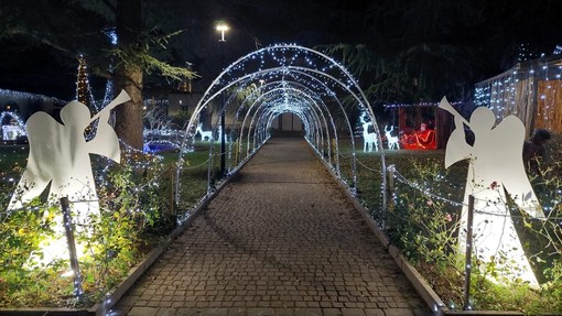 FOTO E VIDEO. Olgiate accende le luci del suo giardino incantato