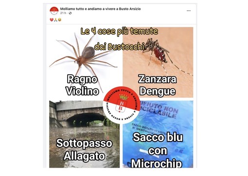 I tormentoni dei bustocchi. E il sacco azzurro se la vede con la zanzara Dengue