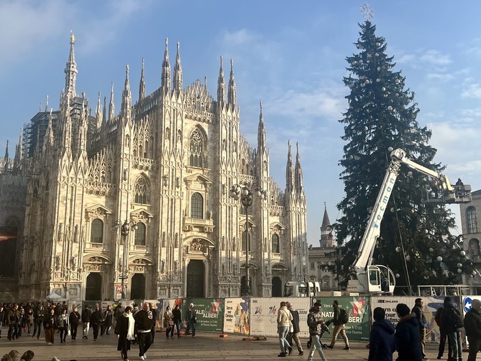 LA FOTO.  Milano al lavoro per il suo Albero (e quest'anno non viene dalla nostra provincia)