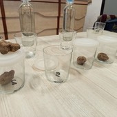 Dronero: all'Istituto Alberghiero Donadio una Masterclass sul Tartufo Bianco d’Alba (Foto e Video)