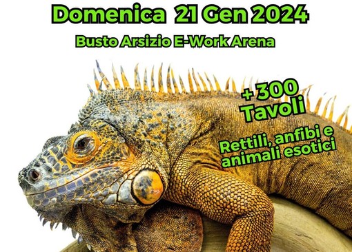 Serpenti e camaleonti a Busto per la quinta edizione del Milano Reptiles Meeting