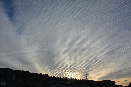 (foto P. Valisa - Centro Geofisico Prealpino)