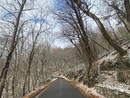 Un solitario runner sulle strade pulite con qualche fiocco di neve sugli alberi