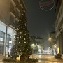 L'Albero di Natale in via Milano verrà illuminato sabato