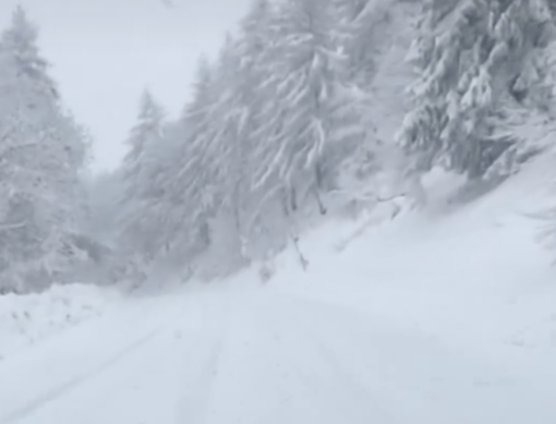 Il Mottarone svela la sua nevicata su Facebook - dalla pagina del Parco