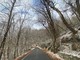 Un solitario runner sulle strade pulite con qualche fiocco di neve sugli alberi