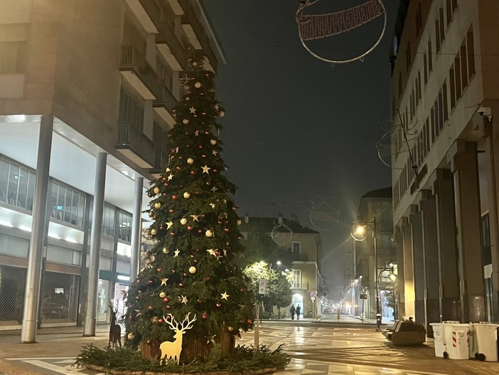 L'Albero di Natale in via Milano verrà illuminato sabato