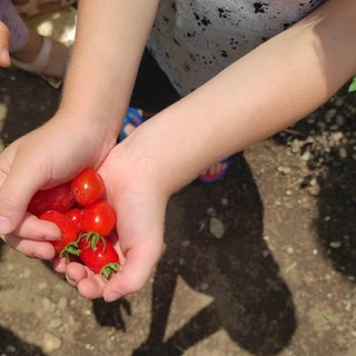 Bimbi della scuola dell’infanzia Beata Giuliana all'opera all'aria aperta e a contatto con la natura