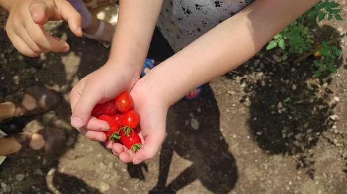 Bimbi della scuola dell’infanzia Beata Giuliana all'opera all'aria aperta e a contatto con la natura