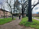 FOTO. Verde e spazi per vivere insieme la città: Castellanza ricomincia dall'Olona