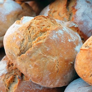 Coldiretti Varese rilancia l'allarme: «Dal grano al pane il prezzo aumenta di 17 volte»