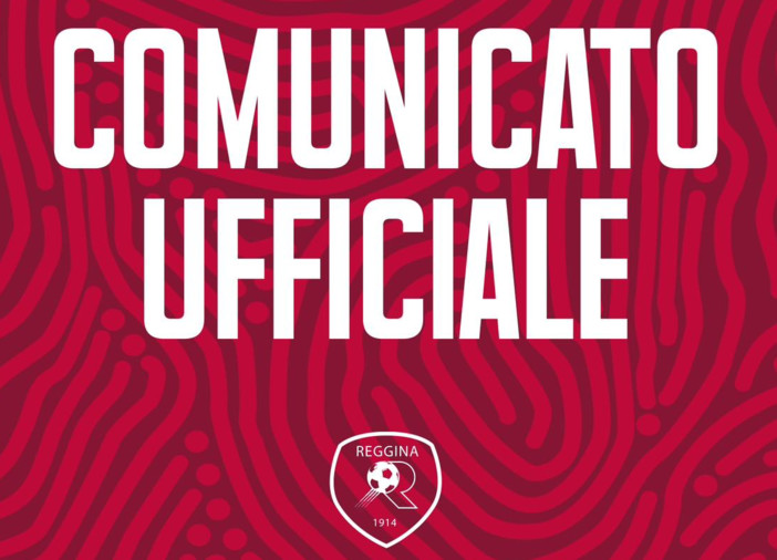 L'estate calda del calcio non è finita. Ricorso, ma anche mobilitazione di istituzioni e tifosi: la &quot;rivolta&quot; della Reggina esclusa dalla B