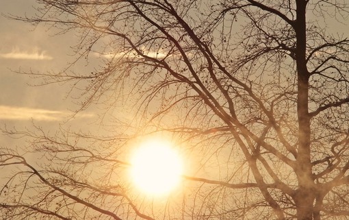 Godiamoci il sole e la giornata mite. Da sabato nuvole e piogge la faranno da padrone