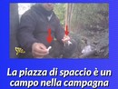 VIDEO. Striscia e il market della droga nella campagna di Busto Garolfo