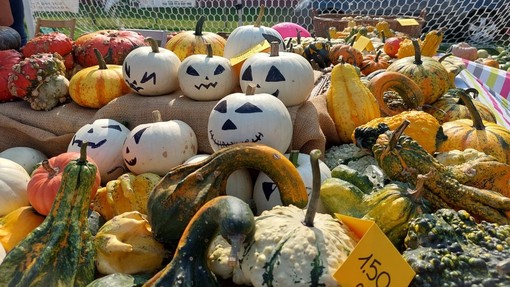 Olgiate Olona: cibo, mercatini e tanto divertimento alla tradizionale Sagra della Zucca