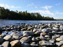 In bici da Busto al Ticino per salvare la brughiera