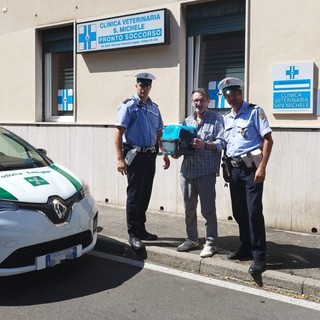 Gatto ferito, la Polizia locale di Busto “scorta” il proprietario fino al veterinario