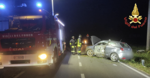 Il maltempo presenta il conto: nel Varesotto 230 interventi di soccorso. Centinaia di alberi caduti e 20 persone soccorse