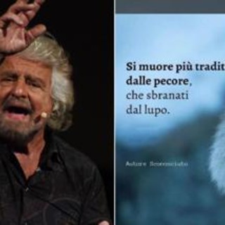 Grillo punge su Whatsapp: &quot;Si muore più traditi dalle pecore che sbranati dal lupo&quot;